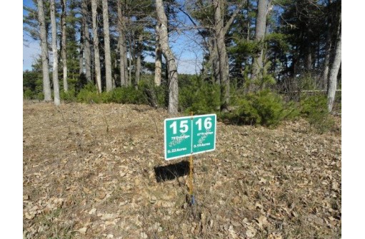 LOT 15 Fly Rod Trail, Wisconsin Rapids, WI 54494