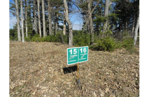 LOT 16 Fly Rod Trail, Wisconsin Rapids, WI 54494