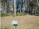 LOT 16 Fly Rod Trail, Wisconsin Rapids, WI 54494