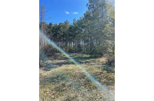 LOT 11 County Road Cs, Poynette, WI 53955