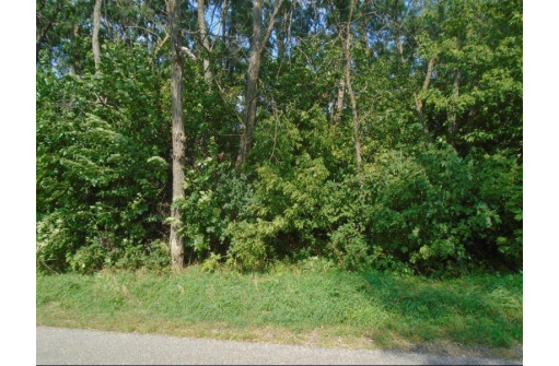 1.98 AC Roosevelt Street, Mauston, WI 53948