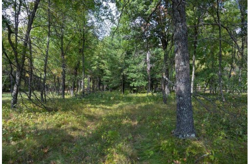 W4513 Big Bay Road, Necedah, WI 54646