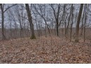 113.00AC Bugbee Hollow Road, Hillsboro, WI 54634