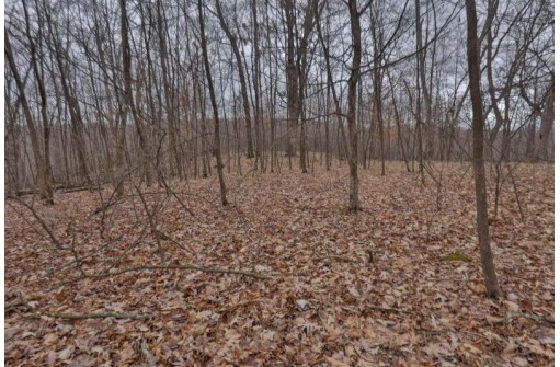 113.00AC Bugbee Hollow Road, Hillsboro, WI 54634