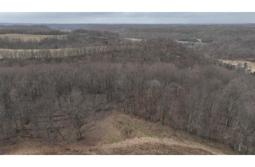 113.00AC Bugbee Hollow Road, Hillsboro, WI 54634