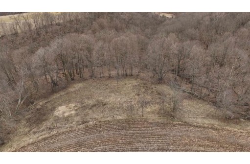 113.00AC Bugbee Hollow Road, Hillsboro, WI 54634