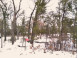 401 Putter Trail Nekoosa, WI 54457