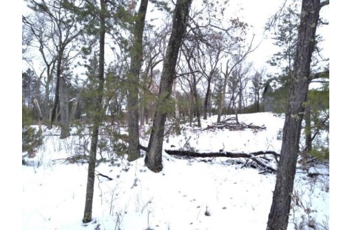 401 Putter Trail, Nekoosa, WI 54457