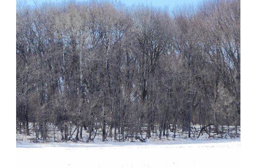 5.50AC County Road Ff, Coloma, WI 54930