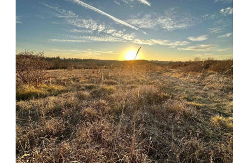 228.80 ACRES Camp Street, Platteville, WI 53818