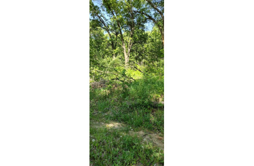 35.90AC Kassner Road, Wisconsin Dells, WI 53965