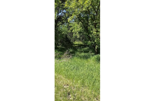 35.90AC Kassner Road, Wisconsin Dells, WI 53965