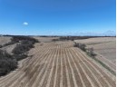 69.97+- ACRES Highway 11, Gratiot, WI 53541