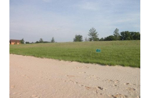 L98 Copper Point 1st Addition Drive, New Lisbon, WI 53950-9034