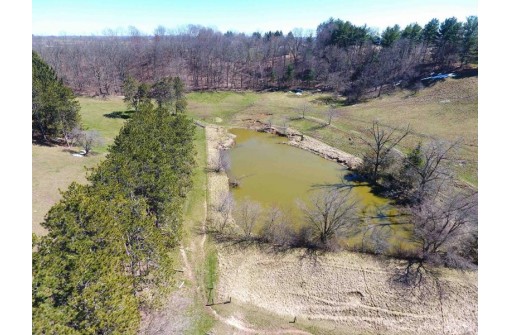 54+/- ACRES Pleasant Mound Road, Boscobel, WI 53805