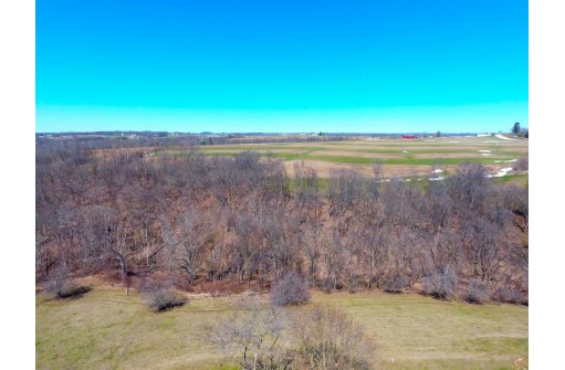 54+/- ACRES Pleasant Mound Road, Boscobel, WI 53805