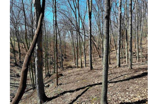 54+/- ACRES Pleasant Mound Road, Boscobel, WI 53805