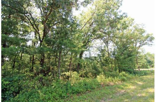 LOT14 Timber Trail, Spring Green, WI 53588