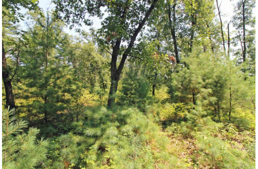 LOT14 Timber Trail, Spring Green, WI 53588