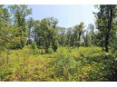 LOT14 Timber Trail, Spring Green, WI 53588