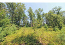 LOT14 Timber Trail, Spring Green, WI 53588