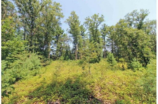 LOT14 Timber Trail, Spring Green, WI 53588