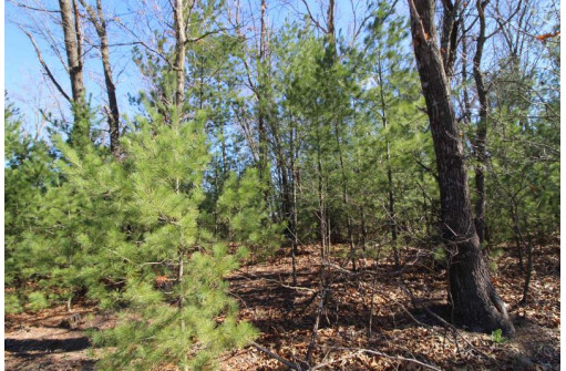 LOT14 Timber Trail, Spring Green, WI 53588