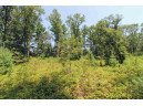 LOT14 Timber Trail, Spring Green, WI 53588