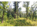 LOT14 Timber Trail, Spring Green, WI 53588