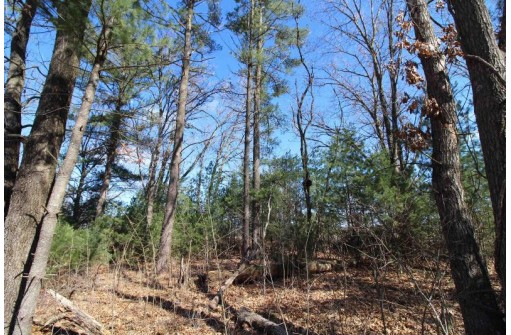 LOT14 Timber Trail, Spring Green, WI 53588