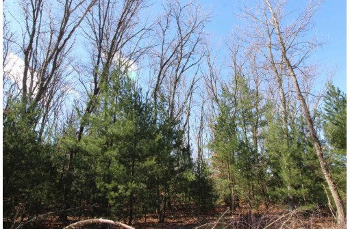 LOT19 Timber Trail, Spring Green, WI 53588