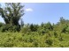 LOT19 Timber Trail Spring Green, WI 53588