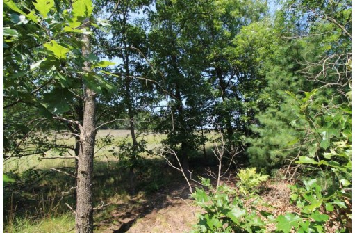 LOT19 Timber Trail, Spring Green, WI 53588