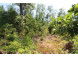 LOT19 Timber Trail Spring Green, WI 53588