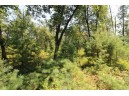 LOT19 Timber Trail, Spring Green, WI 53588