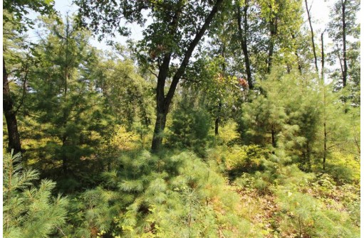 LOT19 Timber Trail, Spring Green, WI 53588