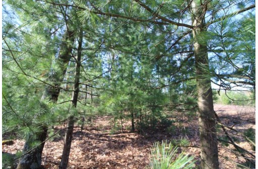 LOT19 Timber Trail, Spring Green, WI 53588