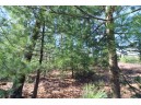 LOT19 Timber Trail, Spring Green, WI 53588