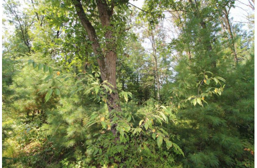 LOT19 Timber Trail, Spring Green, WI 53588