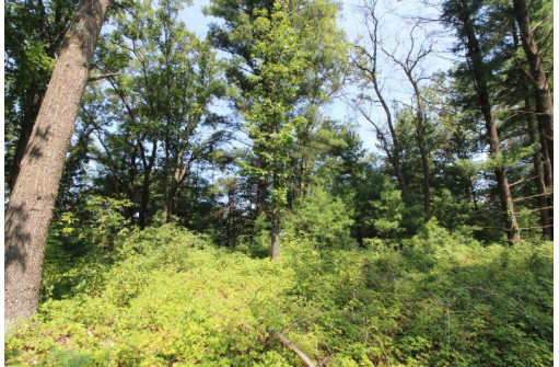 LOT19 Timber Trail, Spring Green, WI 53588