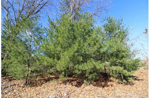 LOT19 Timber Trail, Spring Green, WI 53588