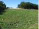 2.94AC Ray Hollow Road Arena, WI 53503