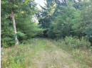 LOT 1 County Road P, Wisconsin Dells, WI 53965