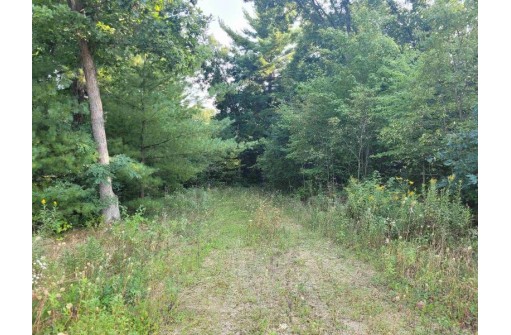 LOT 1 County Road P, Wisconsin Dells, WI 53965