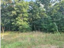 LOT 1 County Road P, Wisconsin Dells, WI 53965