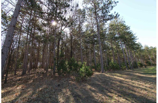 LOT 17 19th Boulevard, Friendship, WI 53934