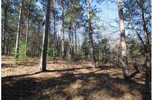 LOT 17 19th Boulevard, Friendship, WI 53934