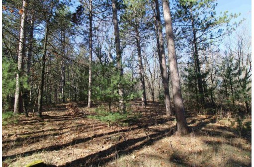 LOT 17 19th Boulevard, Friendship, WI 53934