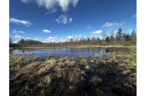 40.44 AC Dakota Road, Westfield, WI 53964