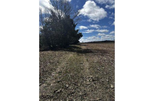 40.44 AC Dakota Road, Westfield, WI 53964